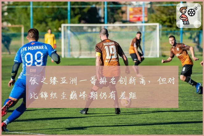 张之臻亚洲一哥排名创新高，但对比锦织圭巅峰期仍有差距