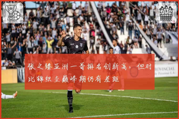 张之臻亚洲一哥排名创新高，但对比锦织圭巅峰期仍有差距