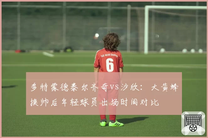 多特蒙德泰尔齐奇vs沙欣：大黄蜂换帅后年轻球员出场时间对比
