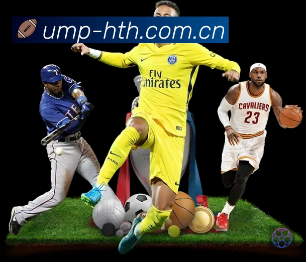 安全使用与支持流程